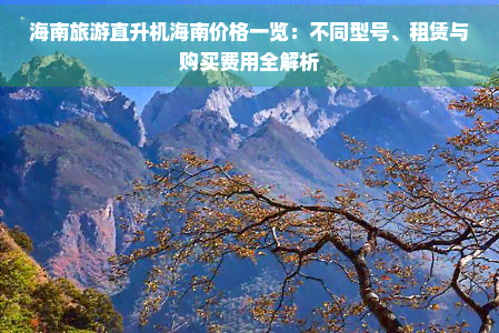 海南旅游直升机海南价格一览：不同型号、租赁与购买费用全解析(图1)