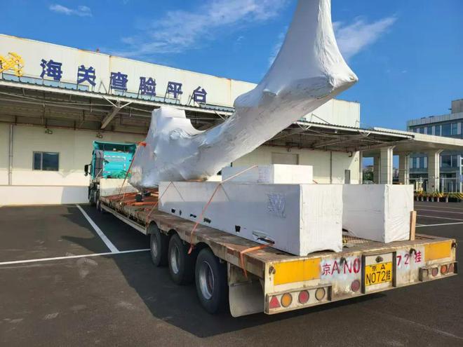 海南首单“零关税”航空器来了(图1)