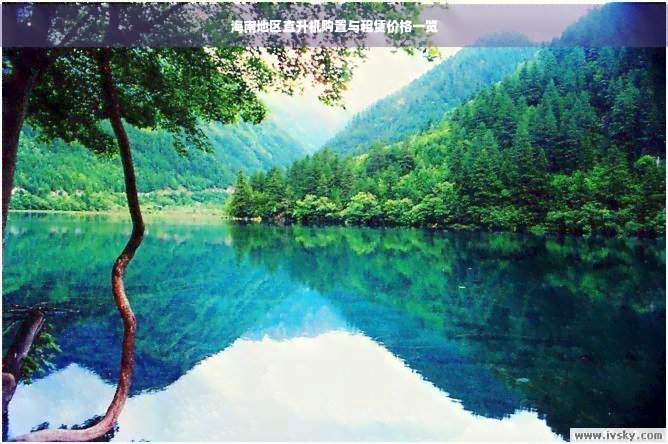 海南旅游直升机多少钱(图3)