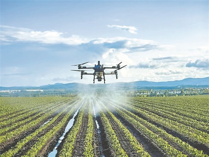 巴东县：无人机转运春橙助农增收(图1)